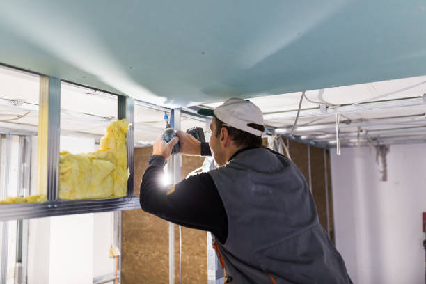 Best Professional Insulation Contractor  in Lake Dallas, TX