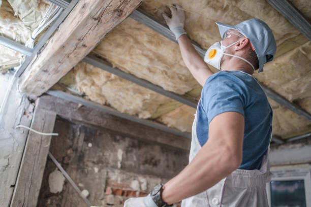 Best Insulation Removal  in Lake Dallas, TX