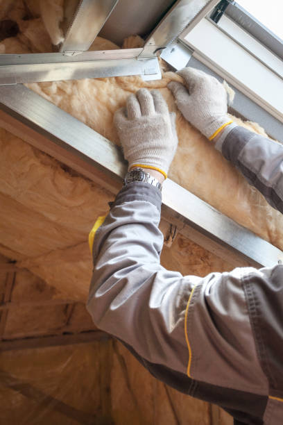 Best Insulation Repair Services  in Lake Dallas, TX