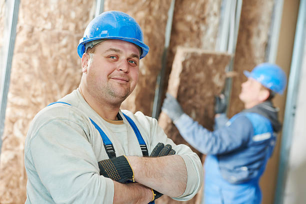 Best Spray Foam Insulation  in Lake Dallas, TX