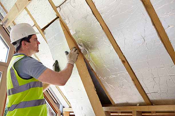 Best Attic Insulation Installation  in Lake Dallas, TX