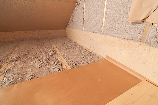 Best Insulation Repair Services  in Lake Dallas, TX