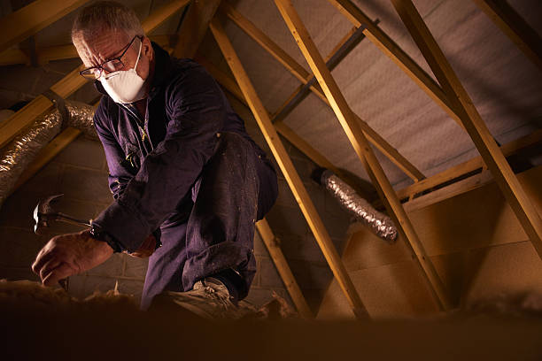 Best Home Insulation Services  in Lake Dallas, TX